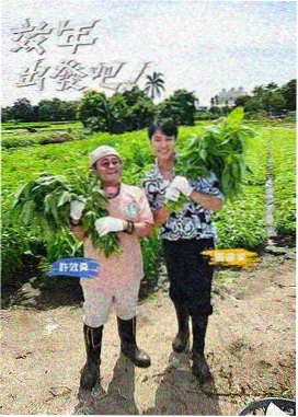美食综艺 免费追剧app